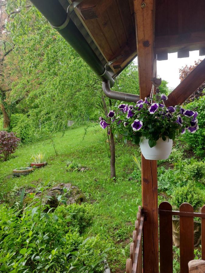Villa Kuca Za Odmor Anamarija Ogulin Exterior foto