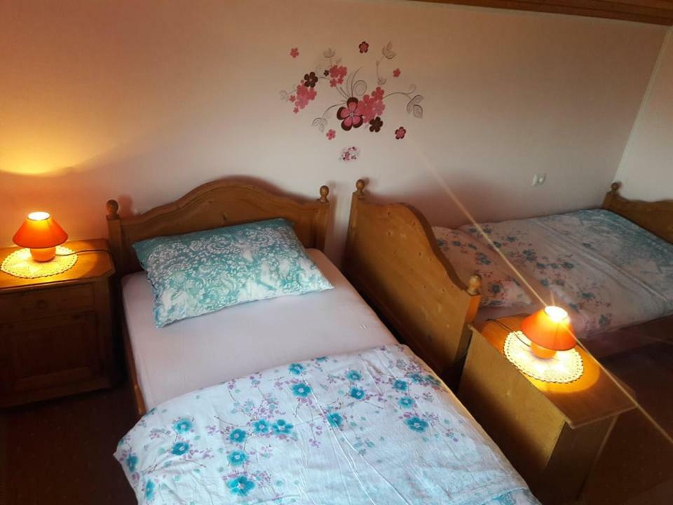 Villa Kuca Za Odmor Anamarija Ogulin Exterior foto